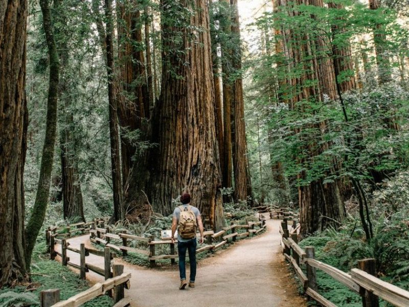 ガラテヤ人への手紙